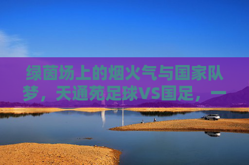 绿茵场上的烟火气与国家队梦，天通苑足球VS国足，一场关于热爱的对话，烟火气与国家队梦，天通苑足球与国足的热爱对话