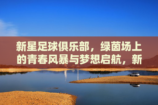 新星足球俱乐部，绿茵场上的青春风暴与梦想启航，新星足球俱乐部，绿茵青春风暴，梦想扬帆启航