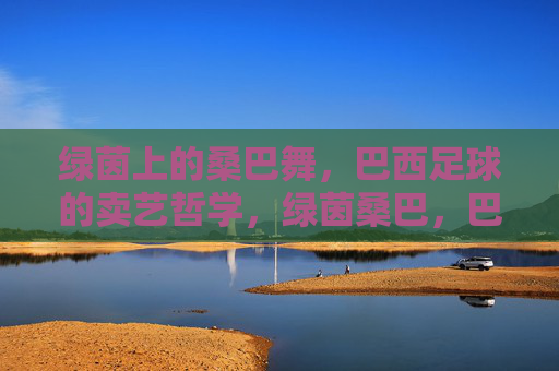 绿茵上的桑巴舞,巴西足球的卖艺哲学,绿茵桑巴,巴西足球的艺术哲学 绿茵上的桑巴舞,巴西足球的卖艺哲学,绿茵桑巴,巴西足球的艺术哲学