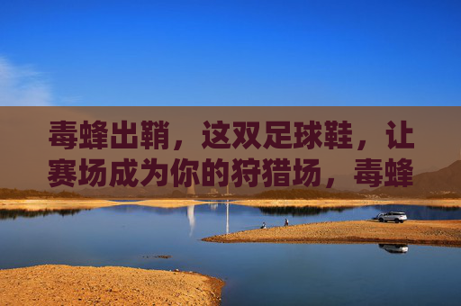 毒蜂出鞘，这双足球鞋，让赛场成为你的狩猎场，毒蜂出鞘，赛场即狩猎场