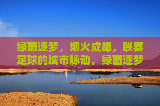 绿茵逐梦，烟火成都，联赛足球的城市脉动，绿茵逐梦，烟火成都，联赛足球的城市脉动