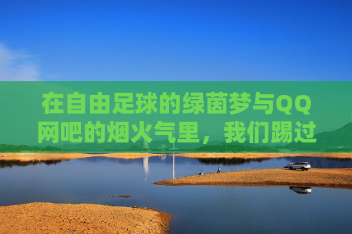 在自由足球的绿茵梦与QQ网吧的烟火气里，我们踢过整个青春，绿茵烟火，青春足印