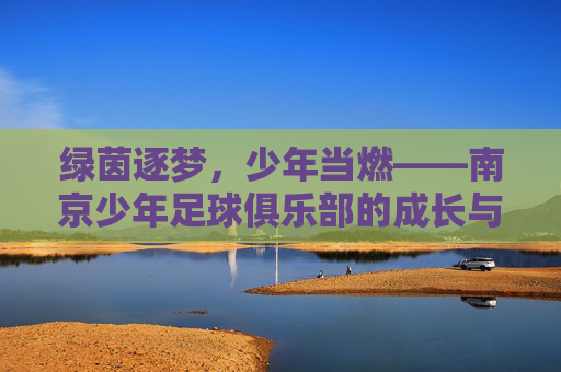 绿茵逐梦，少年当燃——南京少年足球俱乐部的成长与希望，绿茵逐梦，少年成长与希望