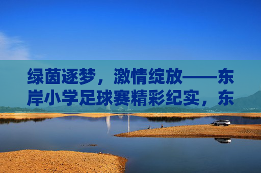 绿茵逐梦，激情绽放——东岸小学足球赛精彩纪实，东岸小学足球赛，绿茵逐梦，激情绽放