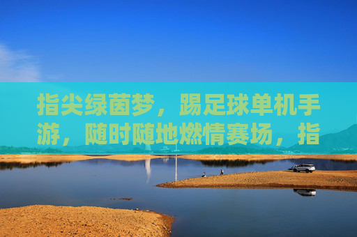 指尖绿茵梦，踢足球单机手游，随时随地燃情赛场，指尖绿茵梦，随时随地燃情的足球单机手游