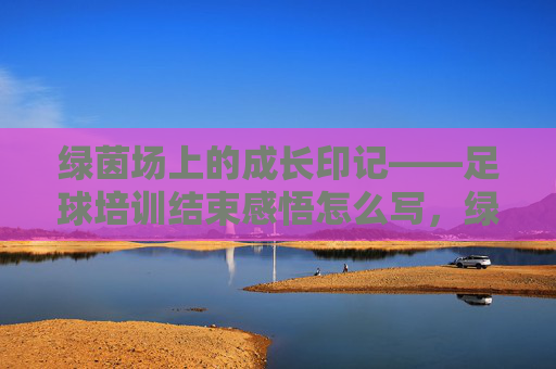 绿茵场上的成长印记——足球培训结束感悟怎么写，绿茵场上的成长印记，足球培训结束感悟