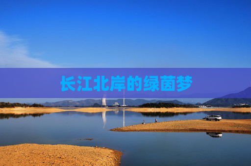 长江北岸的绿茵梦
