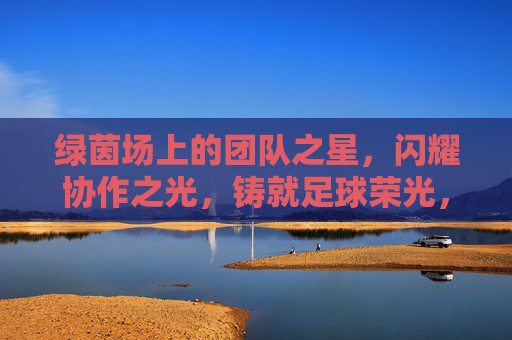 绿茵场上的团队之星,闪耀协作之光,铸就足球荣光,绿茵协作之星,铸就足球荣光 绿茵场上的团队之星,闪耀协作之光,铸就足球荣光,绿茵协作之星,铸就足球荣光