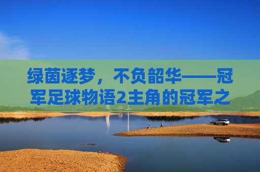 绿茵逐梦，不负韶华——冠军足球物语2主角的冠军之路，绿茵逐梦，不负韶华，冠军之路