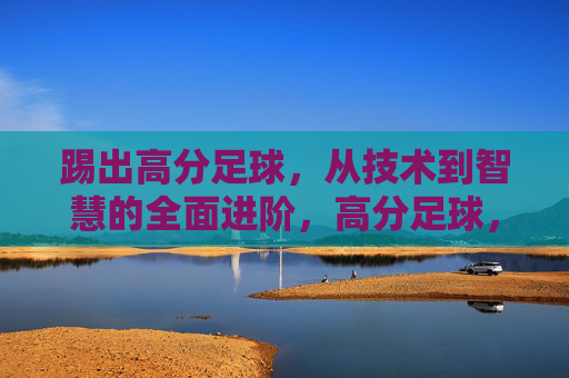 踢出高分足球,从技术到智慧的全面进阶,高分足球,从技术到智慧的全面进阶 踢出高分足球,从技术到智慧的全面进阶,高分足球,从技术到智慧的全面进阶