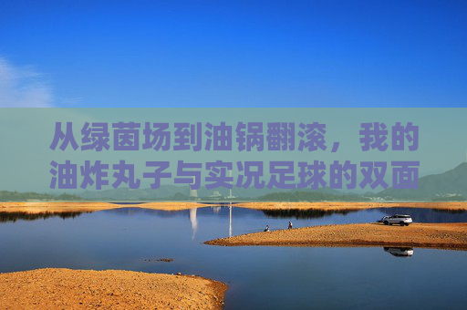 从绿茵场到油锅翻滚,我的油炸丸子与实况足球的双面人生,从绿茵场到油锅,我的双面人生 从绿茵场到油锅翻滚,我的油炸丸子与实况足球的双面人生,从绿茵场到油锅,我的双面人生