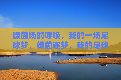 绿茵场的呼唤,我的一场足球梦,绿茵逐梦,我的足球梦 绿茵场的呼唤,我的一场足球梦,绿茵逐梦,我的足球梦