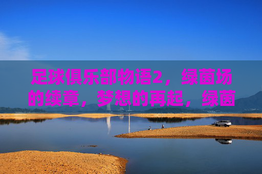 足球俱乐部物语2，绿茵场的续章，梦想的再起，绿茵物语2，梦想再起