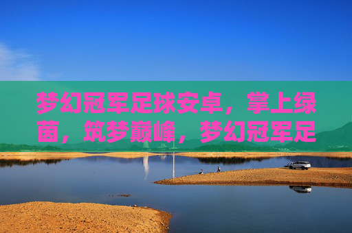梦幻冠军足球安卓，掌上绿茵，筑梦巅峰，梦幻冠军足球安卓，掌上绿茵，筑梦巅峰