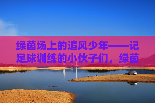 绿茵场上的追风少年——记足球训练的小伙子们，绿茵场上的追风少年，足球训练记