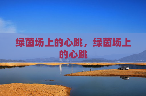 绿茵场上的心跳，绿茵场上的心跳