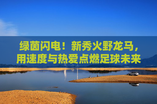 绿茵闪电!新秀火野龙马,用速度与热爱点燃足球未来 绿茵闪电!新秀火野龙马,用速度与热爱点燃足球未来