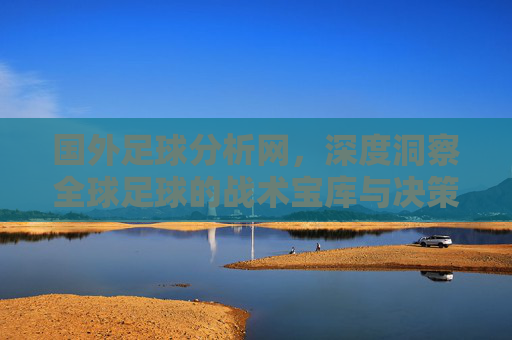 国外足球分析网，深度洞察全球足球的战术宝库与决策指南，国外足球分析网，全球足球战术宝库与决策指南