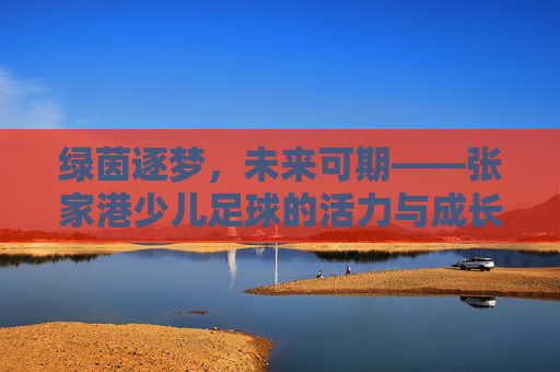 绿茵逐梦，未来可期——张家港少儿足球的活力与成长，张家港少儿足球，逐梦绿茵，活力成长