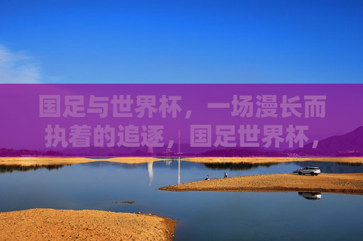 国足与世界杯，一场漫长而执着的追逐，国足世界杯，一场漫长而执着的追逐