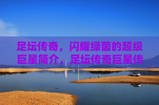 足坛传奇,闪耀绿茵的超级巨星简介,足坛传奇巨星传 足坛传奇,闪耀绿茵的超级巨星简介,足坛传奇巨星传