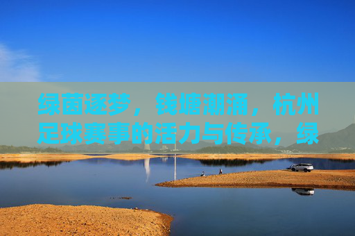 绿茵逐梦，钱塘潮涌，杭州足球赛事的活力与传承，绿茵逐梦钱塘涌，赛事传承活力生