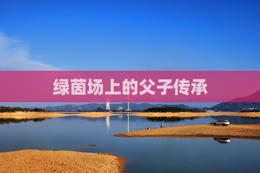 绿茵场上的父子传承