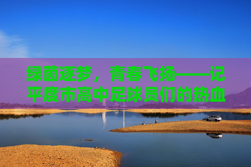 绿茵逐梦,青春飞扬——记平度市高中足球员们的热血与坚守,绿茵逐梦,青春飞扬——平度高中球员热血与坚守 绿茵逐梦,青春飞扬——记平度市高中足球员们的热血与坚守,绿茵逐梦,青春飞扬——平度高中球员热血与坚守