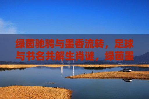 绿茵驰骋与墨香流转，足球与书名共解生肖谜，绿茵墨香共解生肖谜