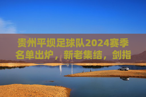 贵州平坝足球队2024赛季名单出炉，新老集结，剑指本土赛场新高度，贵州平坝足球队2024赛季名单出炉，新老集结剑指本土赛场新高度