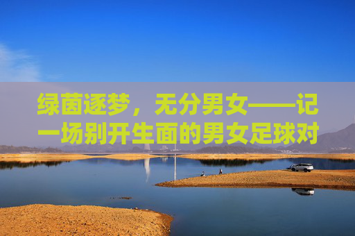 绿茵逐梦，无分男女——记一场别开生面的男女足球对抗赛，绿茵逐梦无分男女——男女对抗赛