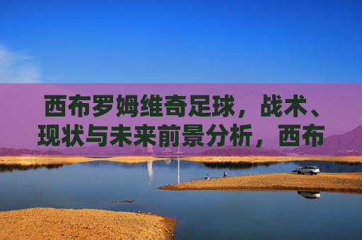 西布罗姆维奇足球，战术、现状与未来前景分析，西布罗姆维奇，战术、现状与未来前景分析