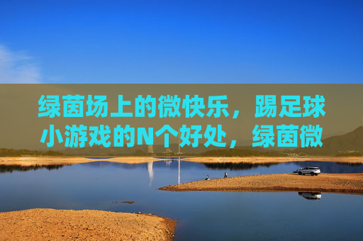 绿茵场上的微快乐，踢足球小游戏的N个好处，绿茵微快乐，踢足球小游戏的N重好处
