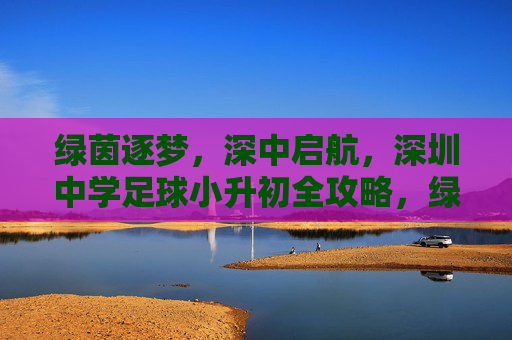 绿茵逐梦,深中启航,深圳中学足球小升初全攻略,绿茵逐梦深中启航,深圳中学足球小升初全攻略 绿茵逐梦,深中启航,深圳中学足球小升初全攻略,绿茵逐梦深中启航,深圳中学足球小升初全攻略