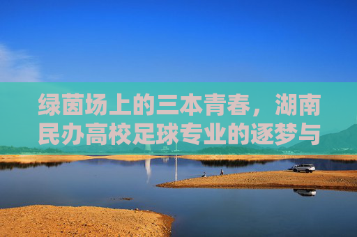 绿茵场上的三本青春，湖南民办高校足球专业的逐梦与突围