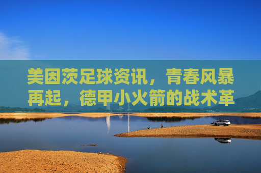 美因茨足球资讯，青春风暴再起，德甲小火箭的战术革新与赛季展望，美因茨青春风暴再起，德甲小火箭的战术革新与赛季展望