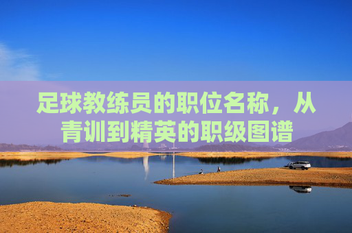 足球教练员的职位名称，从青训到精英的职级图谱