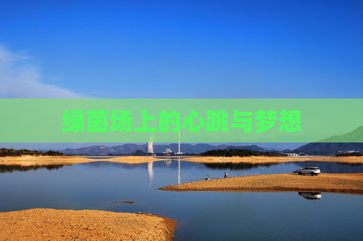 绿茵场上的心跳与梦想