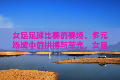女足足球比赛的赛场，多元场域中的拼搏与荣光，女足赛场，多元场域的拼搏与荣光