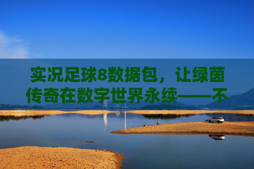 实况足球8数据包,让绿茵传奇在数字世界永续——不止是数据更新,更是青春的延续,实况足球8数据包,让绿茵传奇与青春在数字世界永续 实况足球8数据包,让绿茵传奇在数字世界永续——不止是数据更新,更是青春的延续,实况足球8数据包,让绿茵传奇与青春在数字世界永续