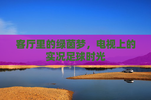 客厅里的绿茵梦,电视上的实况足球时光 客厅里的绿茵梦,电视上的实况足球时光