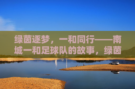 绿茵逐梦,一和同行——南城一和足球队的故事,绿茵逐梦,一和同行 绿茵逐梦,一和同行——南城一和足球队的故事,绿茵逐梦,一和同行