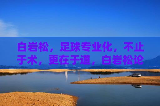 白岩松，足球专业化，不止于术，更在于道，白岩松论足球专业化，不止于术，更在于道
