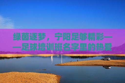 绿茵逐梦，宁阳足够精彩——足球培训班名字里的热爱与希望，绿茵逐梦，热爱为光，宁阳足球培训的希望之名