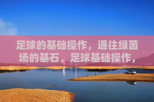 足球的基础操作,通往绿茵场的基石,足球基础操作,绿茵场的基石 足球的基础操作,通往绿茵场的基石,足球基础操作,绿茵场的基石
