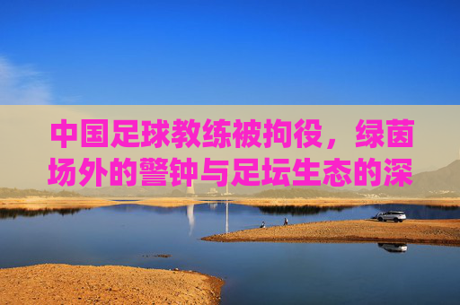 中国足球教练被拘役,绿茵场外的警钟与足坛生态的深层反思,教练拘役事件敲响警钟,中国足球生态的深层反思 中国足球教练被拘役,绿茵场外的警钟与足坛生态的深层反思,教练拘役事件敲响警钟,中国足球生态的深层反思