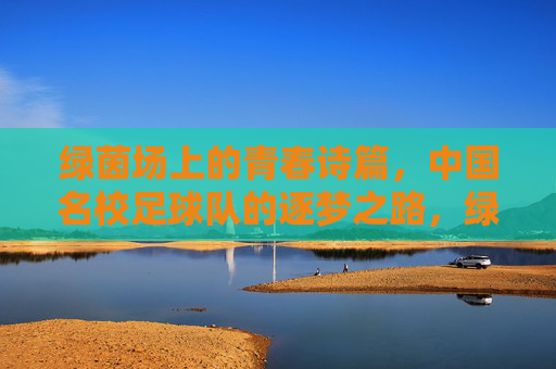 绿茵场上的青春诗篇,中国名校足球队的逐梦之路,绿茵逐梦,名校足球队的青春诗篇 绿茵场上的青春诗篇,中国名校足球队的逐梦之路,绿茵逐梦,名校足球队的青春诗篇