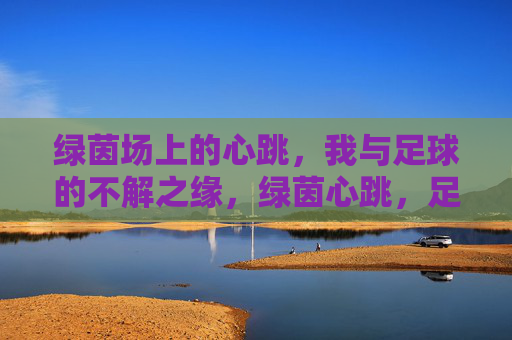 绿茵场上的心跳，我与足球的不解之缘，绿茵心跳，足球之缘