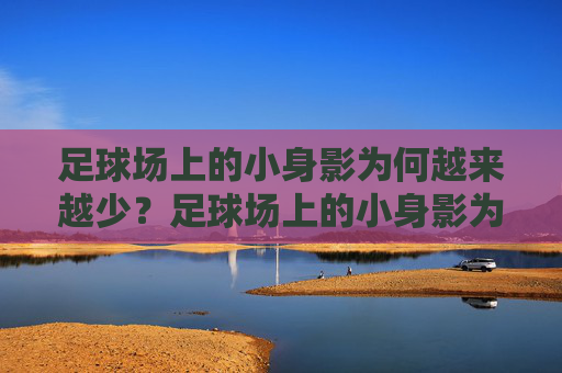 足球场上的小身影为何越来越少？足球场上的小身影为何越来越少？