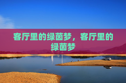 客厅里的绿茵梦，客厅里的绿茵梦